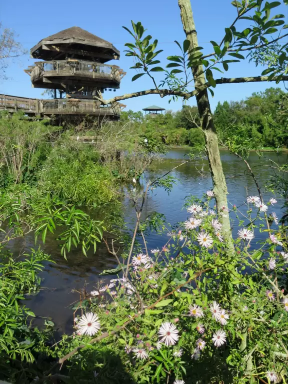 Incredible wetlands with huge gators, birds, and flowers. Emus, deer, playful bobcats, panthers, and three shows. Plus petting zoo with goats, and feeding budgerigars with seedsticks.