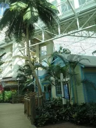 Hotel inside a giant atrium with tropical plants, fish, alligators, and decorations. ICE sculpture event in December.