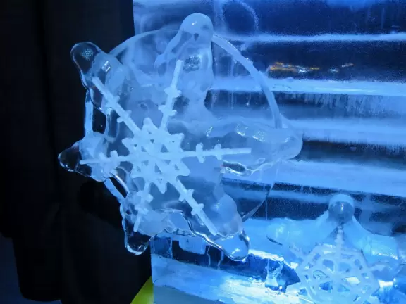 Hotel inside a giant atrium with tropical plants, fish, alligators, and decorations. ICE sculpture event in December.