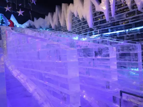 Hotel inside a giant atrium with tropical plants, fish, alligators, and decorations. ICE sculpture event in December.