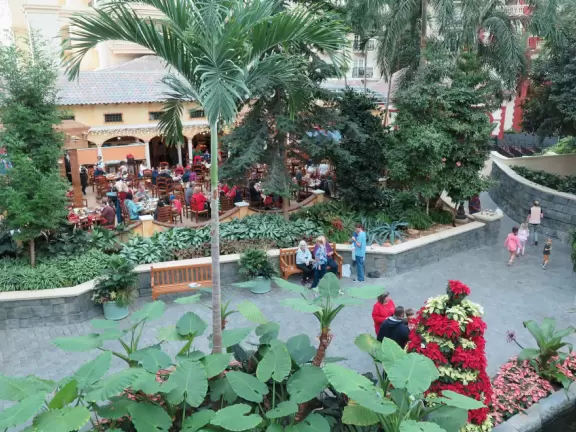 Hotel inside a giant atrium with tropical plants, fish, alligators, and decorations. ICE sculpture event in December.