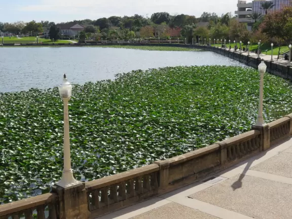 Beautiful garden with many partitioned areas, tropical plants, flowers, all with the blue lake behind. Plus, promenade around the lake.