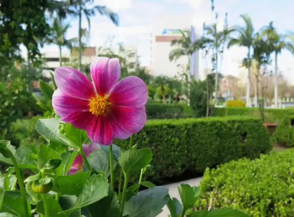 Beautiful garden with many partitioned areas, tropical plants, flowers, all with the blue lake behind. Plus, promenade around the lake.