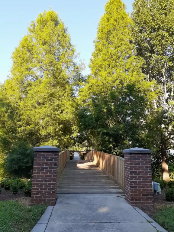 A popular town center with sidewalk cafes leading down to a pretty lake with a walking path.