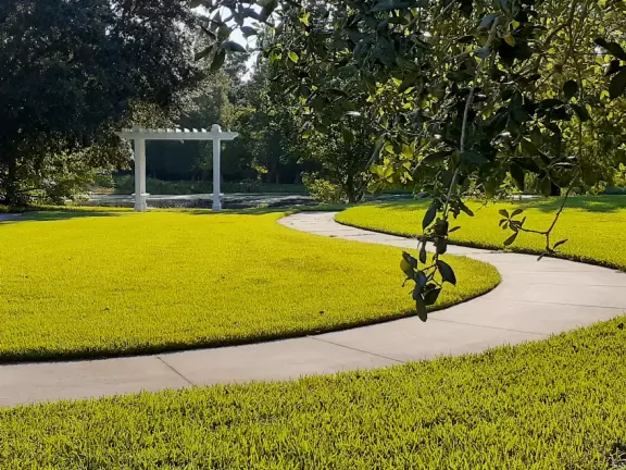 A popular town center with sidewalk cafes leading down to a pretty lake with a walking path.