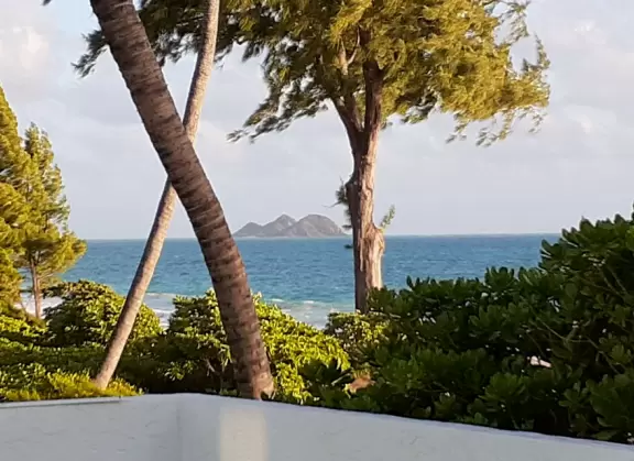 Long, white sand beach with lots of shade and aquamarine waters. Best beginner bodyboarding spot.