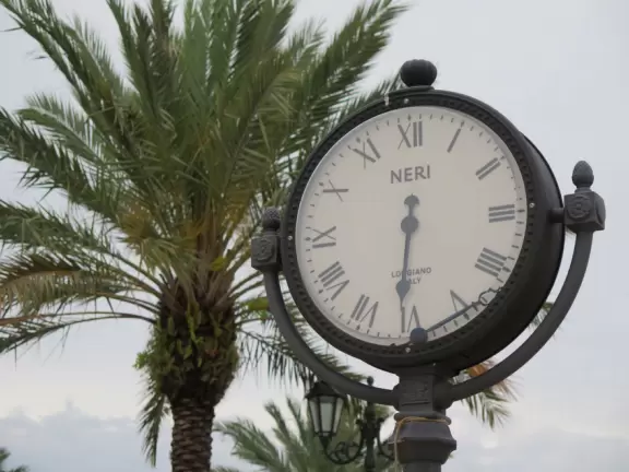Clock and palm tree.
