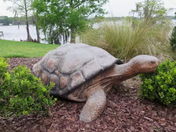 Turtle sculpture- it looks like he's eating the plant!