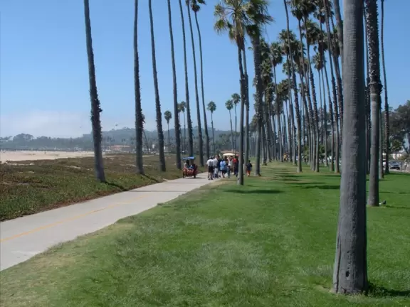 A popular bike path along the shoreline with bright beach succulents and rows of perfect California palms!