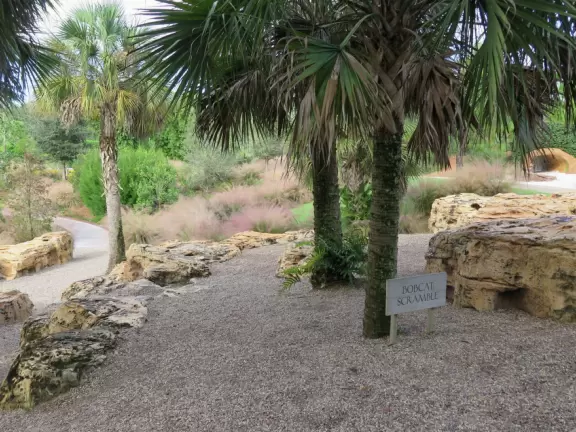 Bobcat Scramble, on the sandstone boulders.