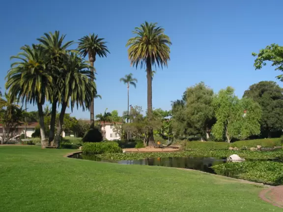 A park of exquisite beauty, with flowering trees and a picnic lawn fronting a pond full of turtles and koi.