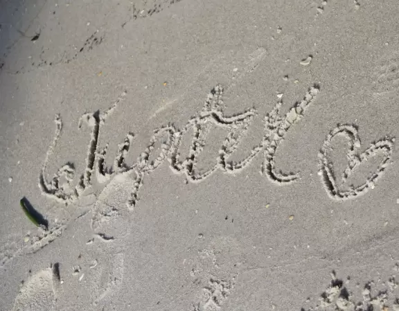 Large lagoon with clear water where kids can swim, tons of shade, and playground in the sand.