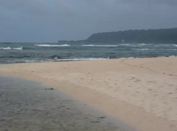 Such pretty colors to feast your eyes on.