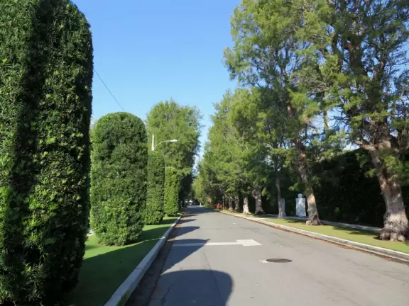 Walk past mansions in the shade of pine and palm trees on Palm Beach Island.