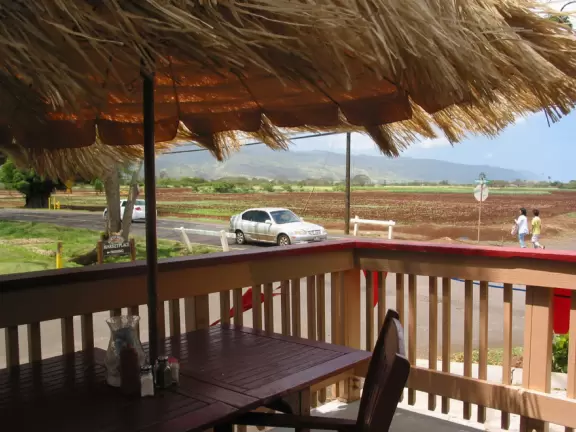 The grass shack outdoor area of Breakers Cafe. Taro fields in the background. Taro has replaced sugar as the main agricultural industry on the North Shore. 