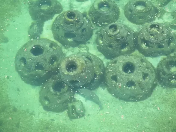 Beautiful nature center on Hutchinson Island, with nature trail on boardwalks, lagoon filled with sharks and game fish, stingrays you can feed by hand, and huge ocean deck with views around the island!
