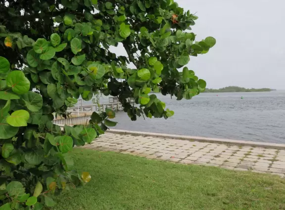 Beautiful park with wooden boardwalks jutting into the intracoastal, nature trail, and beach.