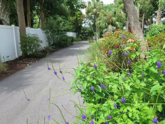 Tropical park with sky-high playground for older kids, toddler playground, fitness trail and stations, pale-lime gazebo, and spiffy basketball courts.