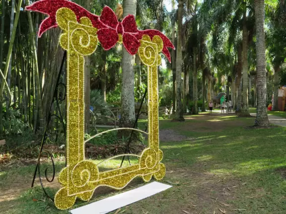 Frame for family photos in a palm grove.