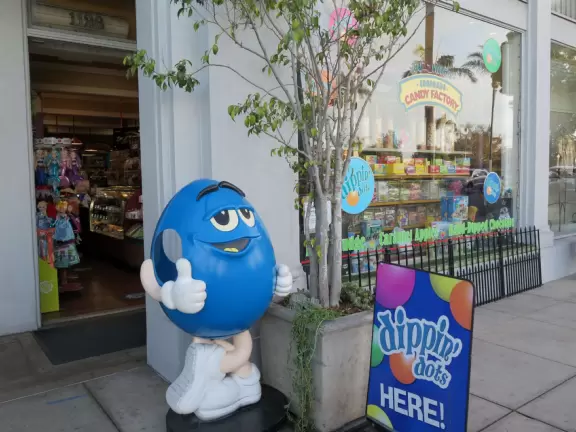 Fuzziwig's Coronado Candy Factory store.