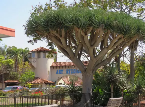 Stroll past beautiful architecture, ponds, fountains, flowers, and trees. Visit many different museums! And best of all, walk through sumptuous gardens.
