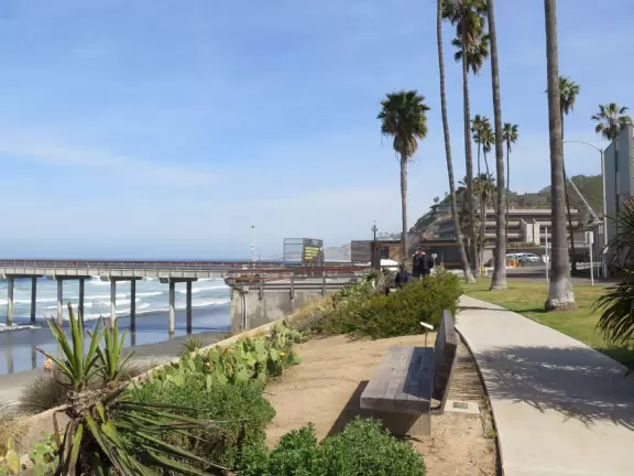 Gorgeous spot on the UC San Diego campus with pier, beach, park overlooking the beach, cafe, and coffee shop.
