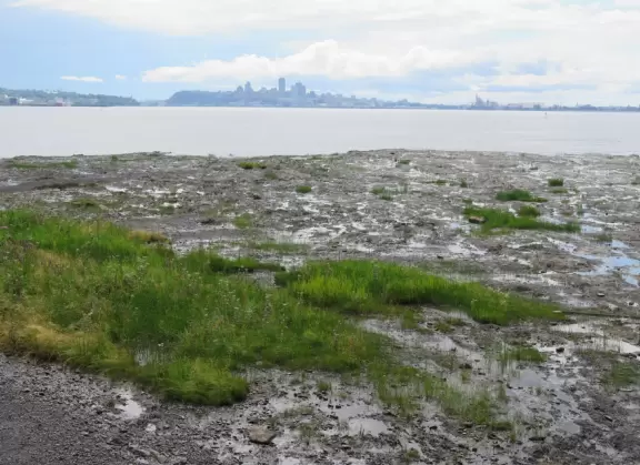 Beautiful loop drive around the island called &Icirc;le d'Orl&eacute;ans.