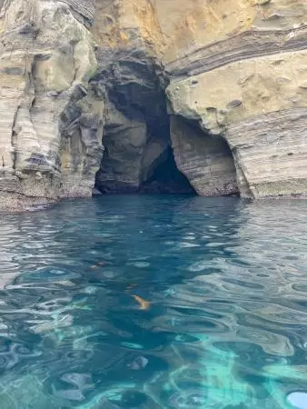 The incredible water and garibaldi fish!