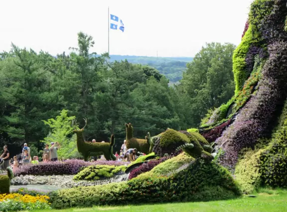 Gorgeous park in a forest with maple trees galore and views over the water.