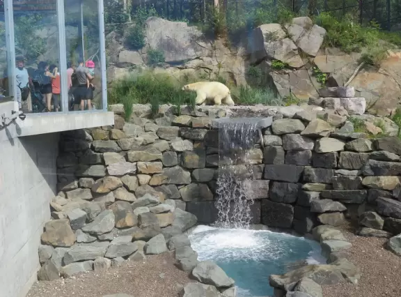 Beautiful aquarium over the Saint Lawrence River with great outdoor areas and playful animals.