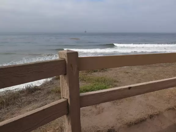 A walk along a clifftop to a popular surfing area with gorgeous sand dunes and exotic plants.