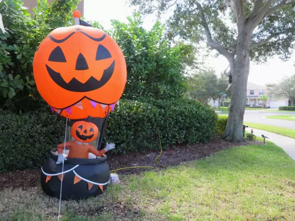 Long walk with wide sidewalk, past lush jungly forest. Some car noise.