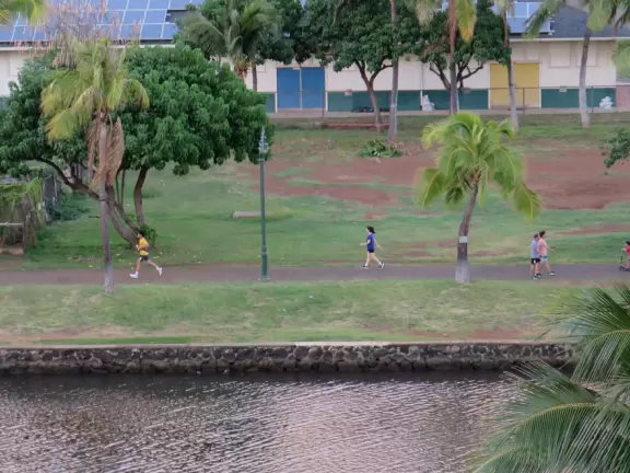 Beautiful mountains views. You can walk for miles along the Ala Wai canal!