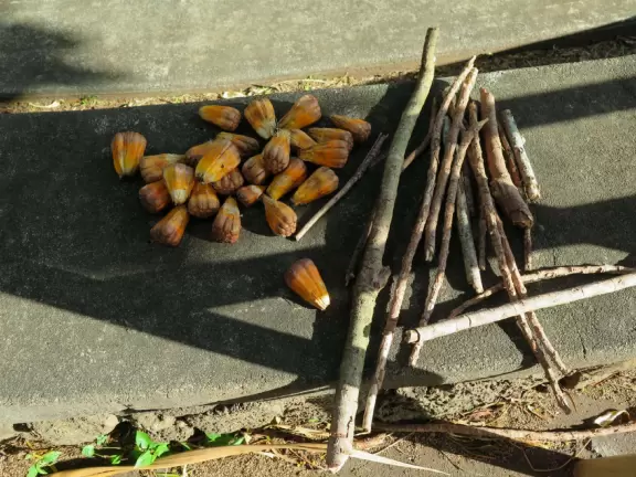 A beautiful park with playground, fields, trees and mountains all around.