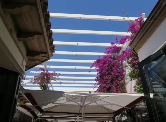 A sumptuous street with Spanish archways and courtyards and unique shops for the extremely rich.