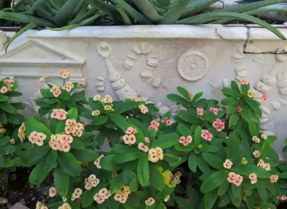 Sweet flowers and relief panel. 