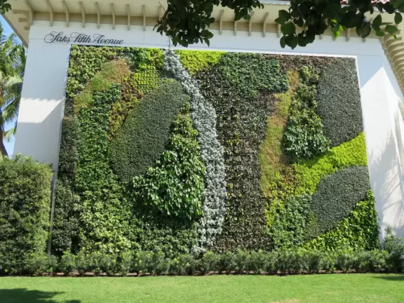 Amazing vertical garden, at Saks Fifth Avenue.