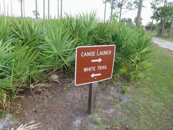 Dock on a lake with water lilies and birds, and trail through flatwood pine trees.