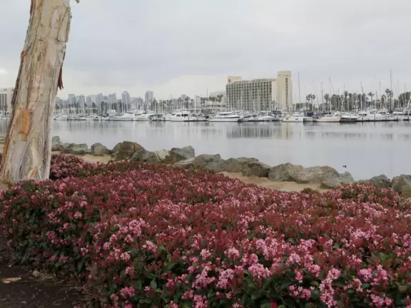 Great place for a walk before getting on a flight!