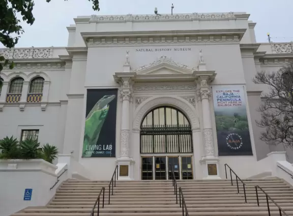 Stroll past beautiful architecture, ponds, fountains, flowers, and trees. Visit many different museums! And best of all, walk through sumptuous gardens.