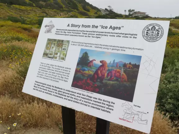 Wealthy neighborhood with cliffs covered in wildflowers above the turquoise sea.