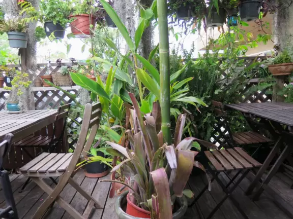 Adorable houses with gardens full of flowers, and streets leading down to lookout points over the ocean.
