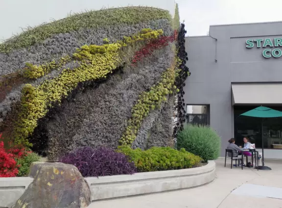 A cute suburban town in inland San Diego that looks different to the rest.