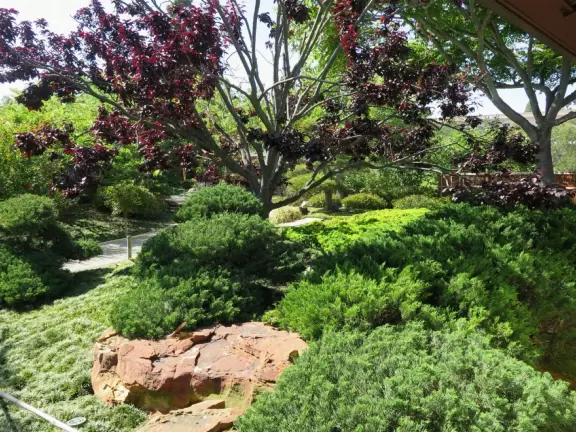 Japanese Friendship Garden, Balboa Park