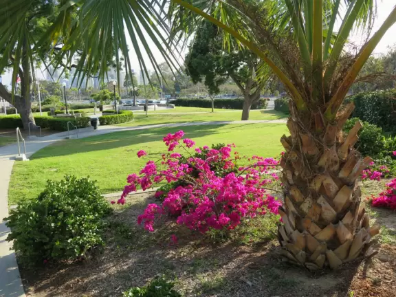 Stroll past beautiful architecture, ponds, fountains, flowers, and trees. Visit many different museums! And best of all, walk through sumptuous gardens.