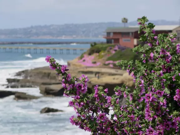 Adorable houses with gardens full of flowers, and streets leading down to lookout points over the ocean.