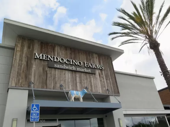 Shopping plaza near UCSD with Mendocino Farms cafe, Whole Foods market, Cava Bowls, Rubio's Coastal Grill, Philz Coffee, and some nice murals.