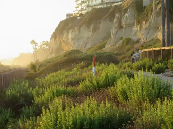 Very beautiful beach in a canyon of tall palms and red gold cliffs.