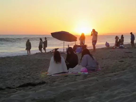 Very beautiful beach in a canyon of tall palms and red gold cliffs.
