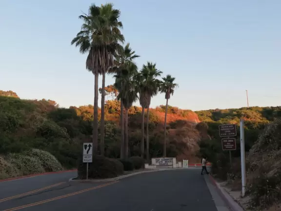 Very beautiful beach in a canyon of tall palms and red gold cliffs.